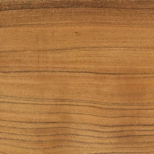 Acacia