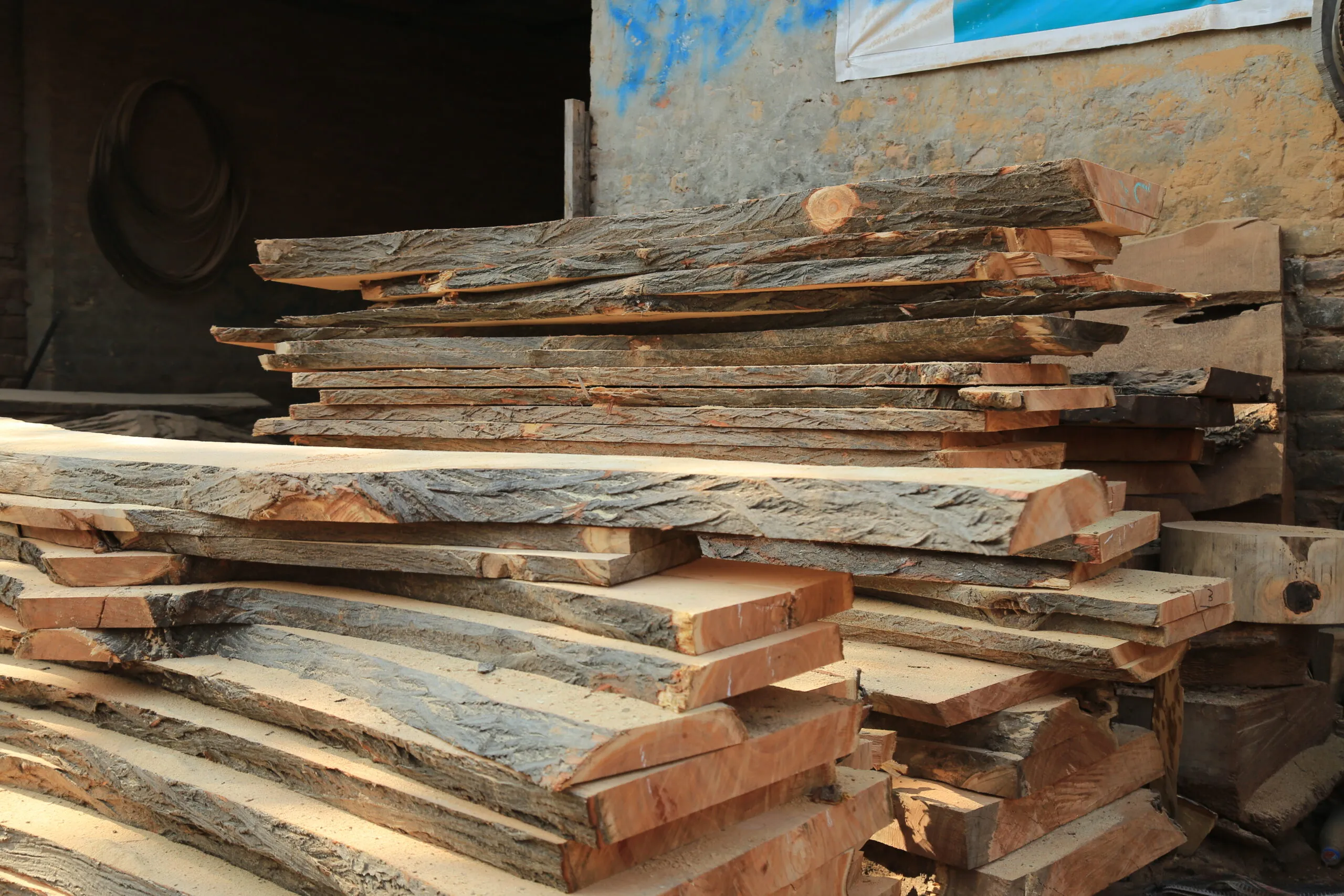 Firas at the timber yard