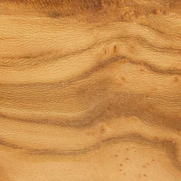 Maple